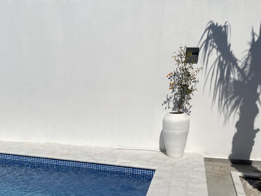 The shadow of a palm on a white wall